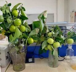 1773303696761138.jpg 种地瘾.jpg