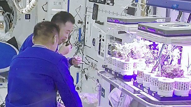 1773304056718048.png 种地瘾5.png