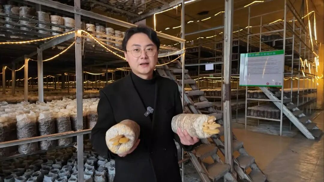 1773308591770263.jpg 蘑菇爷1.jpg